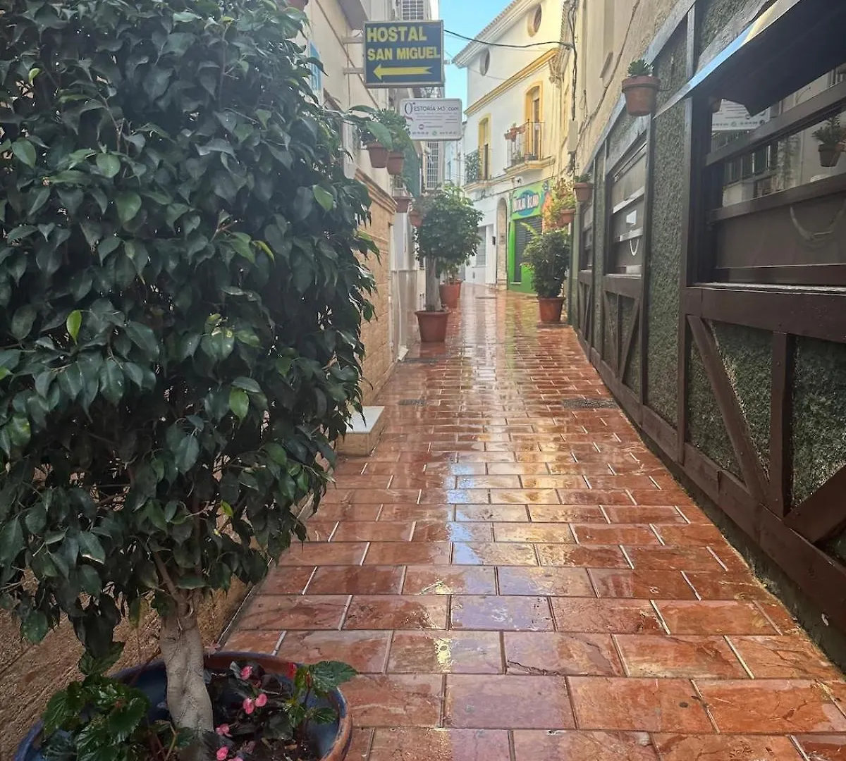 2 Bed Apartment Estepona Centre Next To The Beach! 0*,